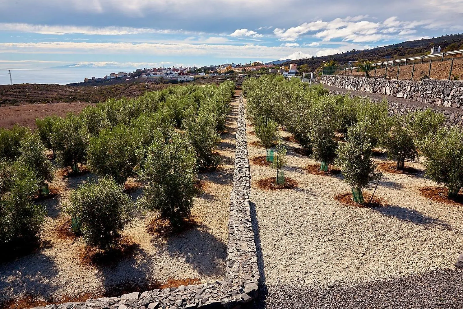 Apartament Finca El Vinche Guía de Isora